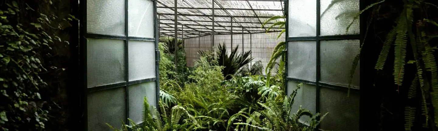 Greenhouse Atelier — slide 3