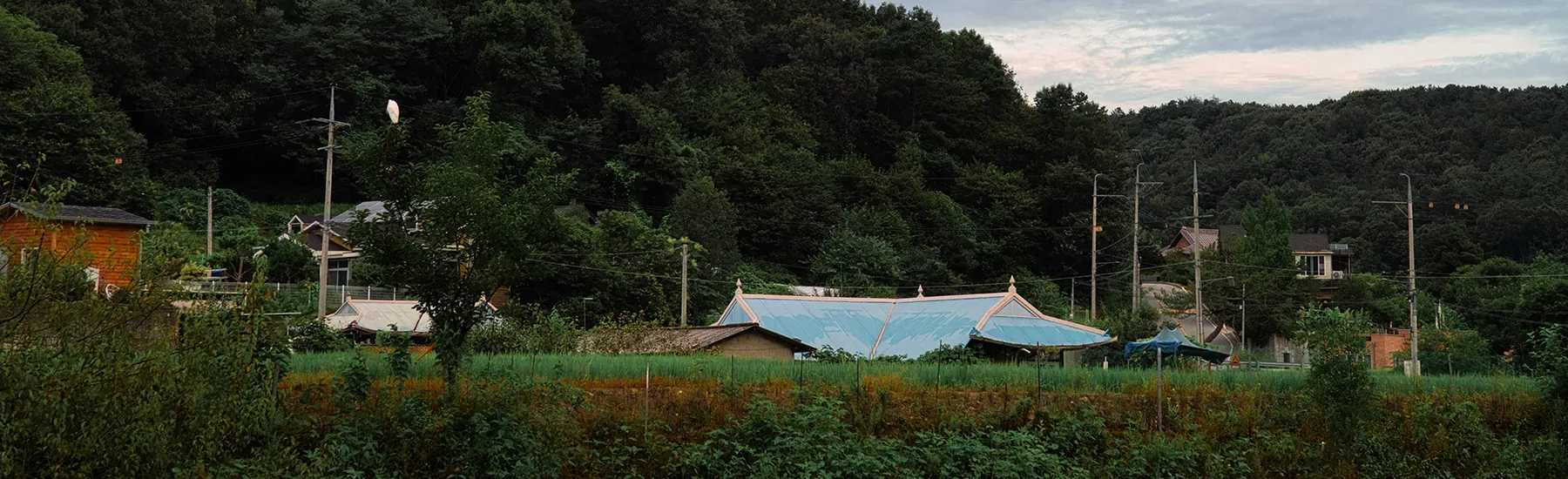 Korean Calm — slide 3