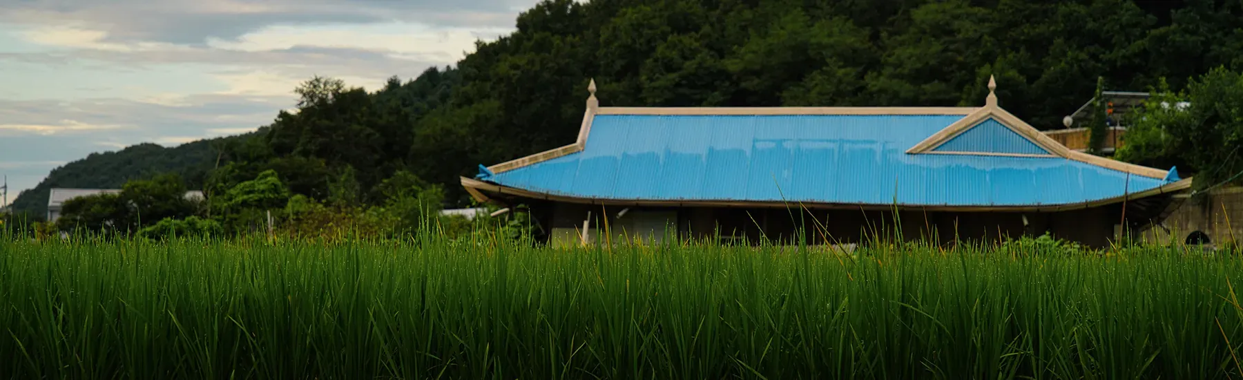 Korean Calm — slide 1