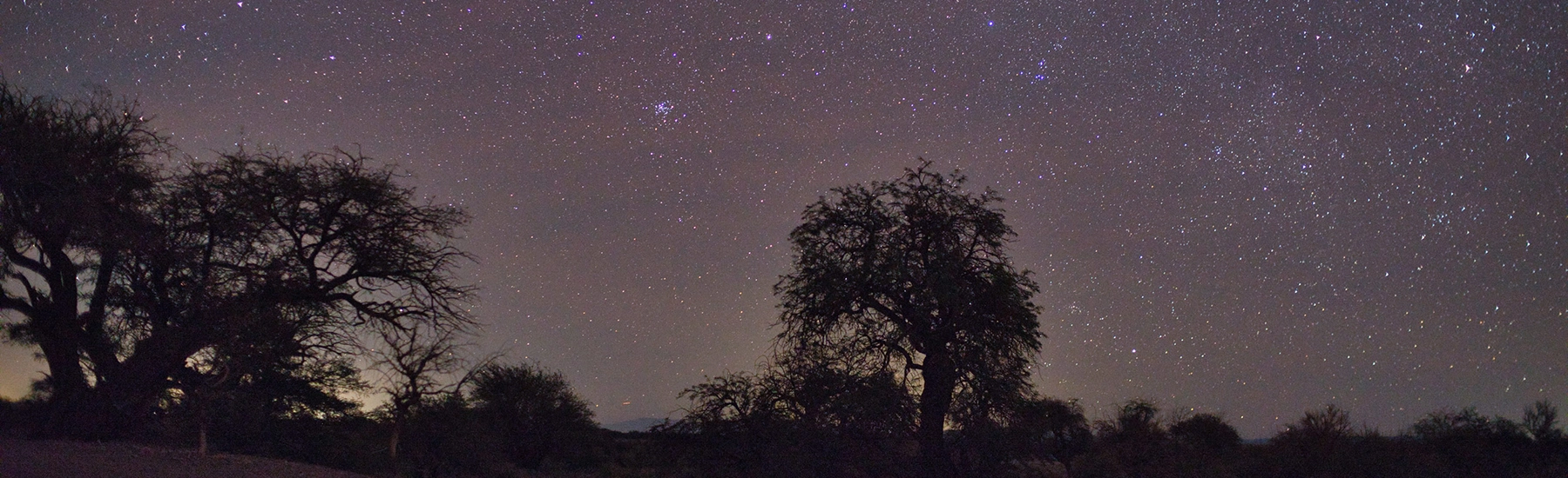 Luminous Nightscapes — slide 2