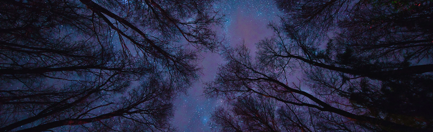 Luminous Nightscapes — slide 1