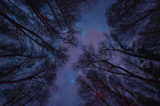 Luminous Nightscapes image