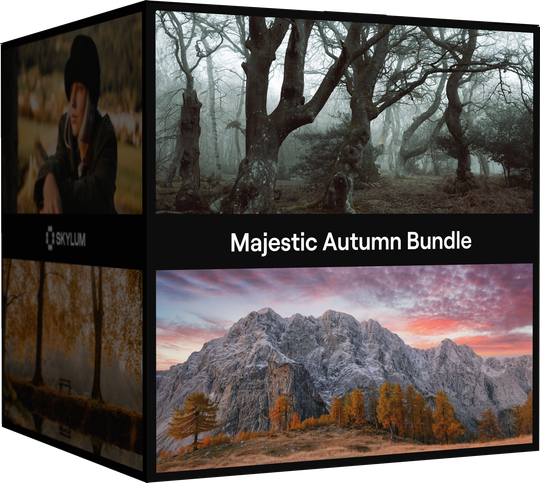 Majestic Autumn Bundle image