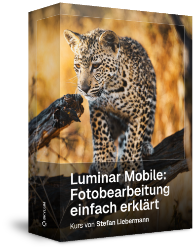 Luminar Mobile: Fotobearbeitung einfach erklärt