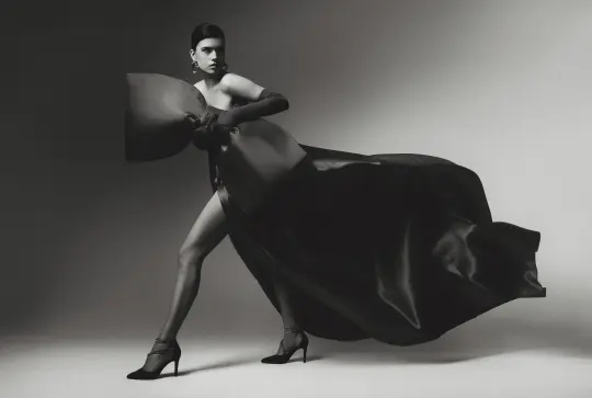 Irving Penn Tribute image