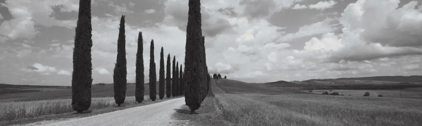 Henri Cartier-Bresson Tribute — slide 2